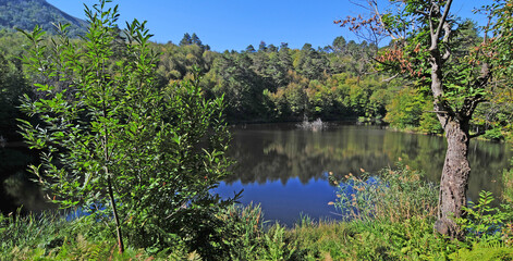 Located in Yalova, Turkey, Dipsiz Lake is one of the protected areas of the region.