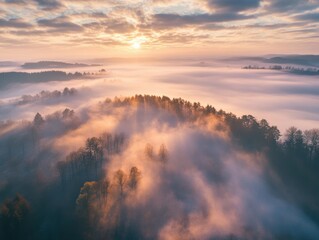 Fototapeta premium Sunrise Over Misty Forest and Rolling Hills in Soft Light