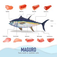 Maguro tuna sushi sashimi cuts Japanese food restaurant illustration hand drawn on transparent background