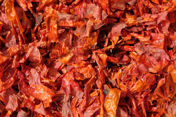 Abstract pattern and texture background of dried red chili skin.Natural pattern and texture.For graphic design or banner background