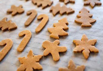 Sablés de Noël sur plaque avant cuisson
