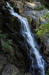 Obraz premium A view from Erikli Waterfalls in Yalova, Turkey