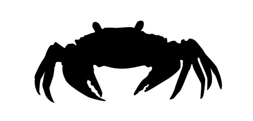 Crab walking silhouette