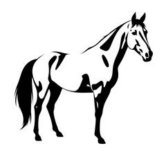 Stylized black and white illustration of a horse, viewed from the side,