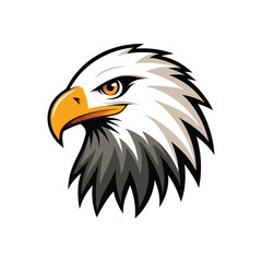 Fototapeta premium eagle head on white background
