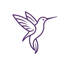 hummingbird line art on white background