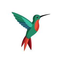 Fototapeta premium hummingbird on white background