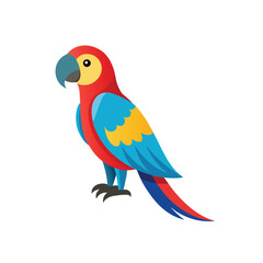 parrot on white background