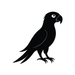 parrot silhouette on white background