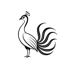 peacock line art on white background