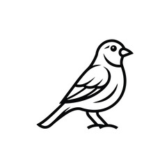 sparrow bird line art on white background