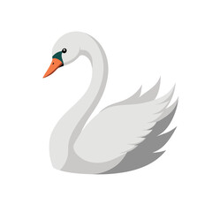 swan on a white background