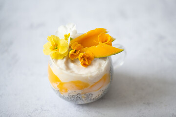 Healthy protein rich breakfast - chia seed pudding, fresh mango puree, coconut milk.