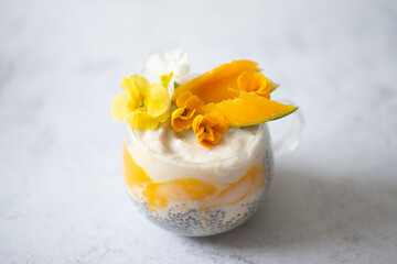 Healthy protein rich breakfast - chia seed pudding, fresh mango puree, coconut milk.