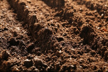 Texture of fresh soil as background, closeup