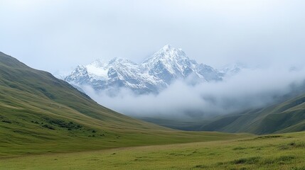 Fototapeta premium Top view of a lush green valley on a summer sunny day. Panoramic view with mountain ranges on the horizon. Nature background. Illustration for cover, card, postcard, interior design, decor or print.