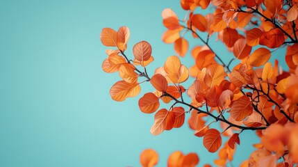 Autumn leaves stretch towards bright sky; nature's beauty in vivid color