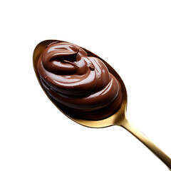chocolate on a delicious golden spoon isolated