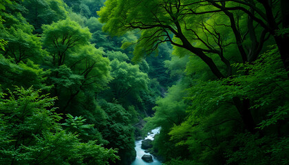 This image captures a lush ravine with thriving green trees, using future technology to emphasize the feeling of abundance and natural beauty.
