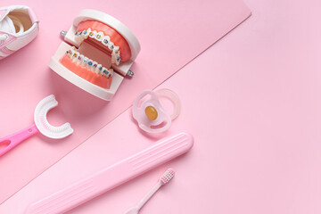 Children's toothbrushes with jaw model and pacifier on pink background
