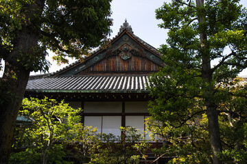 A castle surrounded by trees in Japan.