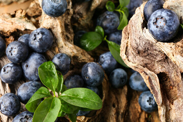 Sweet fresh blueberries and leaves on tree bark, closeup