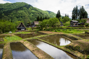 Obraz premium A traditional thatched village in Japan.