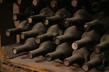 Dusty Aged Wine Bottles in a Cellar