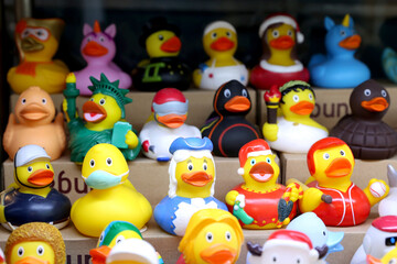 Colorful toys.Many colorful rubber duck toys in various outfits on sale. Rubber ducks are a popular...