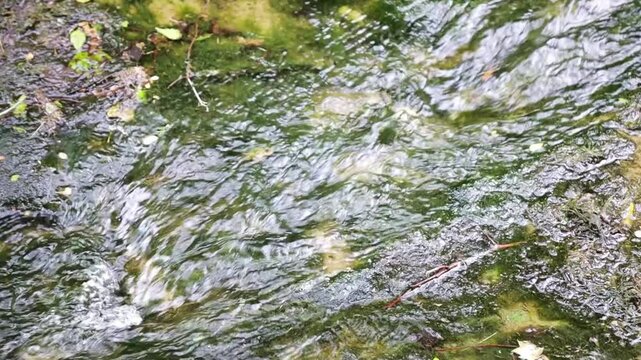 Small river on the forest near village Rupit in Catalonia of Spain