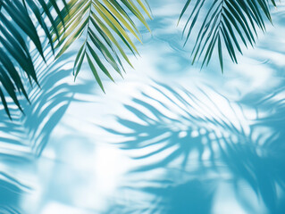 Fototapeta premium Abstract representation of palm leaves casting shadows in a tranquil blue background during daylight hours