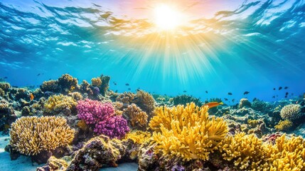 Naklejka premium Breathtaking underwater scuba diving spot with coral reefs and marine life.