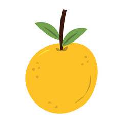 orange illustration