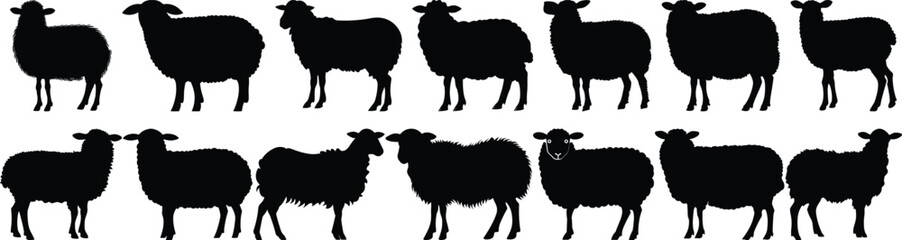 Sheep silhouettes set, farm pack of vector silhouette design, isolated background