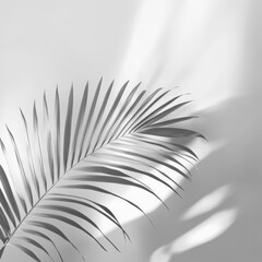 Grey background with a blurred palm leaf shadow in the foreground, ideal for elegant and minimalist product display or branding design.


