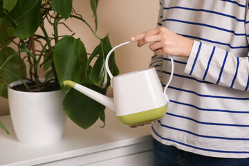 Young woman watering houseplant on chest of drawers in living room. Closeup