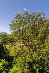 Obraz premium Scafell Pike in the lake District 