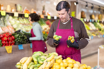While working in shop, employee forms display case, puts ripe imported banana in pile. Open display of goods in self-service shop. Male employee makes attractive display case with vegetables.