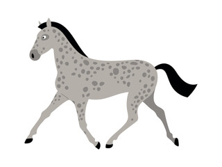 Spotted horse galloping. Animal character running. Vector isolated flat illustration