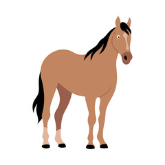 Horse standing calmly. Animal character. Vector isolated flat illustration