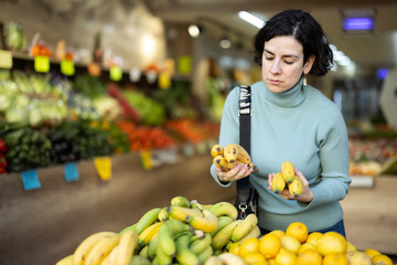Obraz premium Adult woman buyer choosing bunch of fresh bananas in vegetable shop