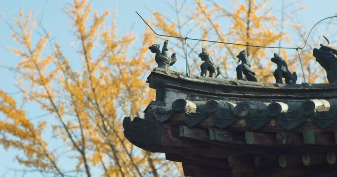 Asian Chinese women taking photos while hiking and exploring the ancient architecture and forest of Dai Temple.