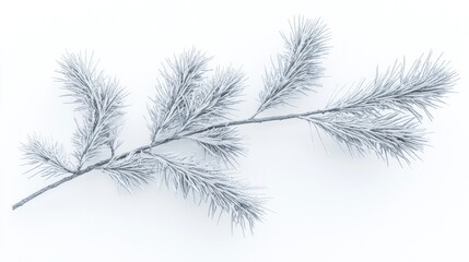 Frosty pine branch isolated on white.