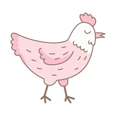 Cute Cartoon Chicken Illustration
