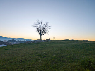 Fototapeta premium Sunset panrama of Plovdiv city from Nebet Tepe hill, Bulgaria