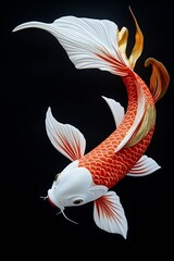 Beautiful Koi Fish with Flamboyant Fins Displaying Rich Colors Against a Dark Background : Generative AI