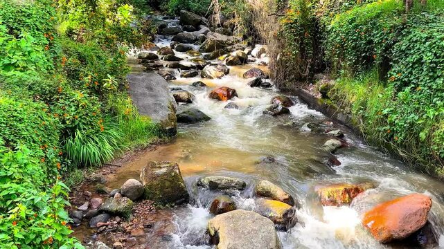 Scenic Stream Flowing Over Mossy Rocks Amid Lush Greenery in the Andean Highlands