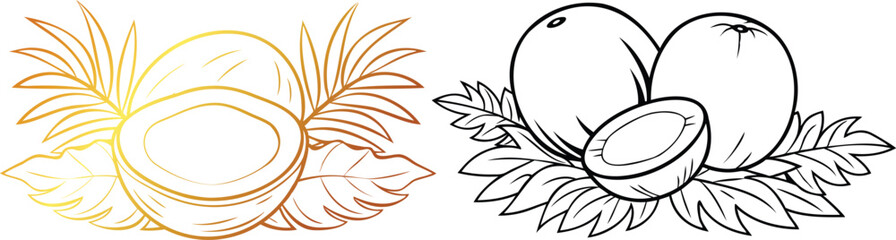 set of Coconut Fresh Tropical Nut with Tree Leaves Line Art Vector Design 