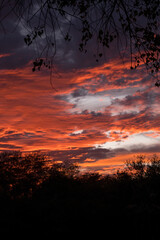 atardecer