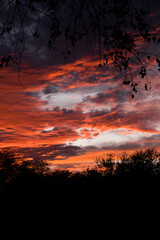 atardecer
